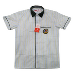 Shirt H/S - Abhinav Public School (Rohini) APS