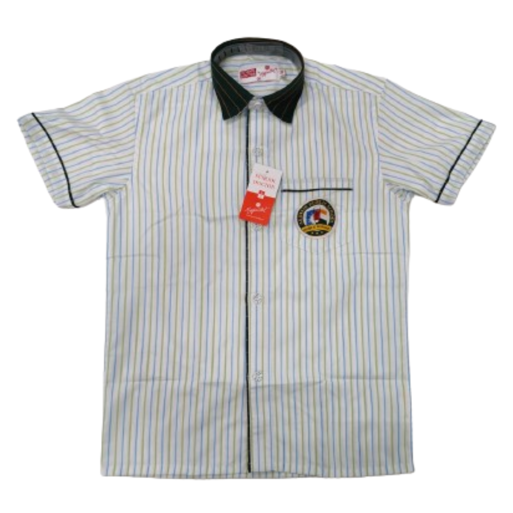 Shirt H/S - Abhinav Public School (Rohini) APS